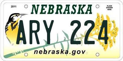 NE license plate ARY224