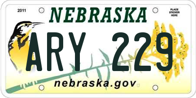 NE license plate ARY229