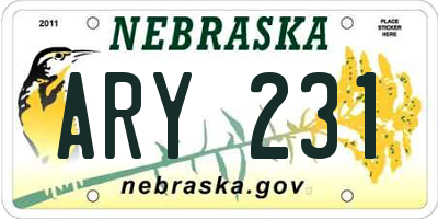 NE license plate ARY231