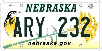 NE license plate ARY232