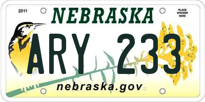 NE license plate ARY233