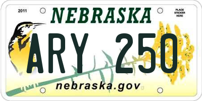 NE license plate ARY250