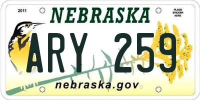 NE license plate ARY259
