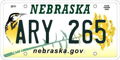NE license plate ARY265