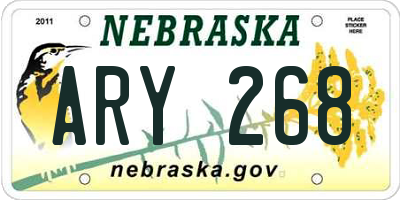 NE license plate ARY268
