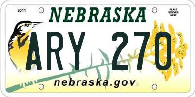 NE license plate ARY270