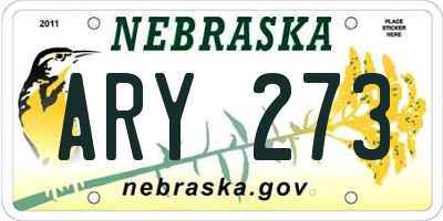 NE license plate ARY273