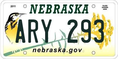 NE license plate ARY293