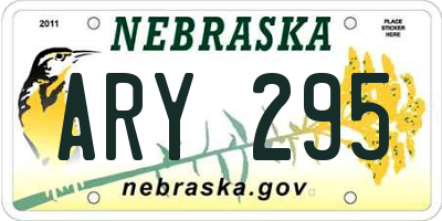 NE license plate ARY295