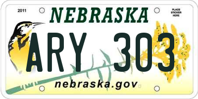 NE license plate ARY303
