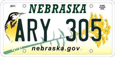 NE license plate ARY305
