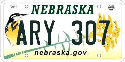 NE license plate ARY307