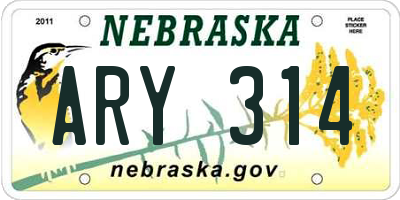NE license plate ARY314