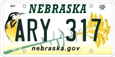 NE license plate ARY317