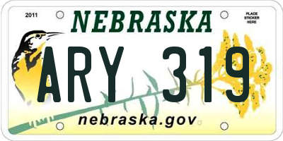 NE license plate ARY319