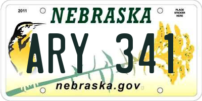 NE license plate ARY341