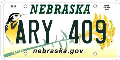 NE license plate ARY409