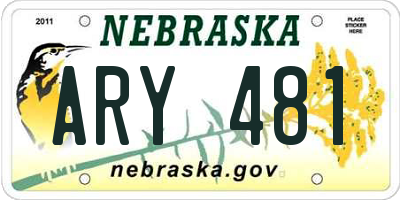 NE license plate ARY481