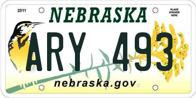 NE license plate ARY493
