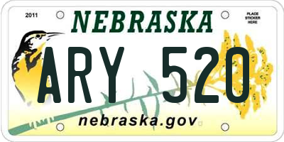 NE license plate ARY520