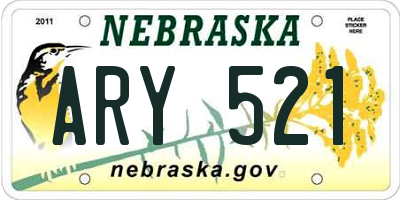 NE license plate ARY521