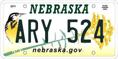 NE license plate ARY524