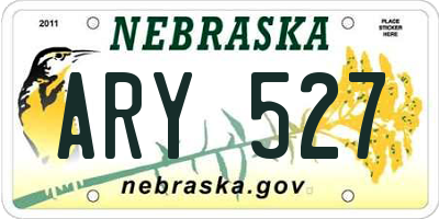 NE license plate ARY527