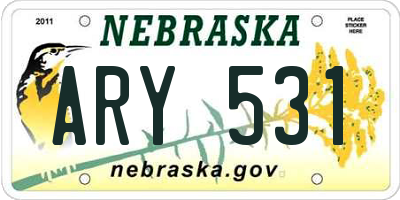 NE license plate ARY531