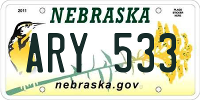 NE license plate ARY533