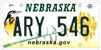 NE license plate ARY546