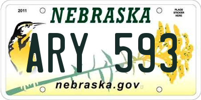 NE license plate ARY593