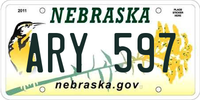 NE license plate ARY597