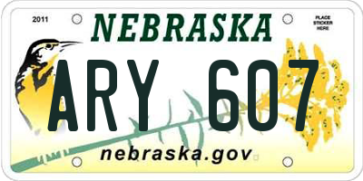 NE license plate ARY607