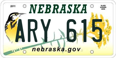 NE license plate ARY615