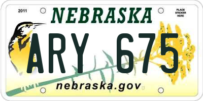 NE license plate ARY675