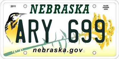 NE license plate ARY699