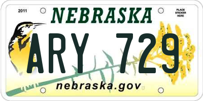 NE license plate ARY729