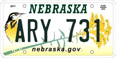 NE license plate ARY731