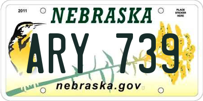 NE license plate ARY739