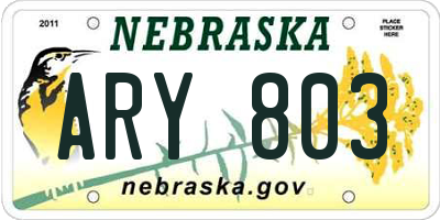 NE license plate ARY803