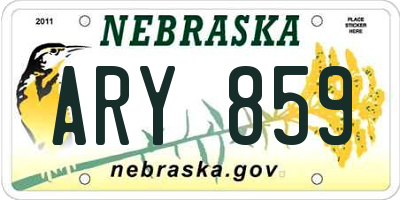NE license plate ARY859