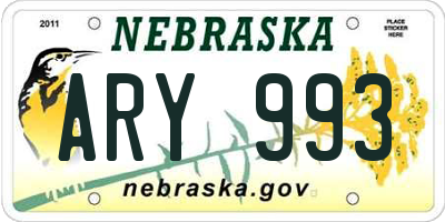 NE license plate ARY993