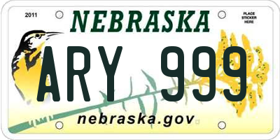 NE license plate ARY999
