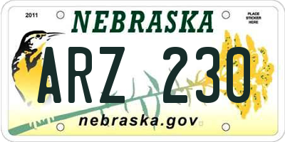 NE license plate ARZ230