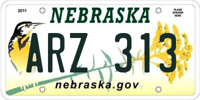 NE license plate ARZ313