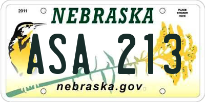 NE license plate ASA213