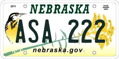 NE license plate ASA222