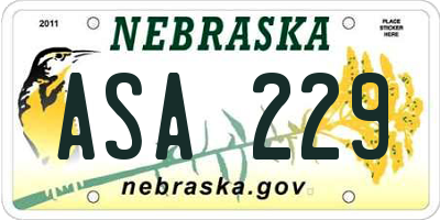 NE license plate ASA229