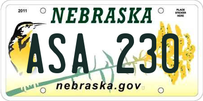 NE license plate ASA230