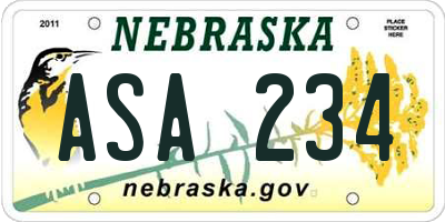 NE license plate ASA234
